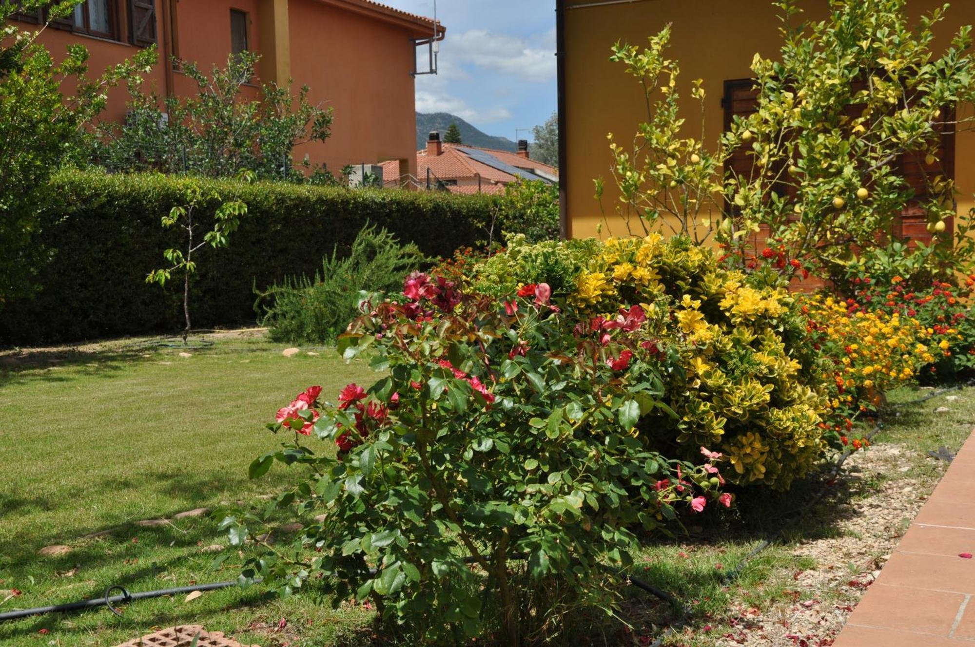 B&B Gassa D'Amante Capoterra Dış mekan fotoğraf